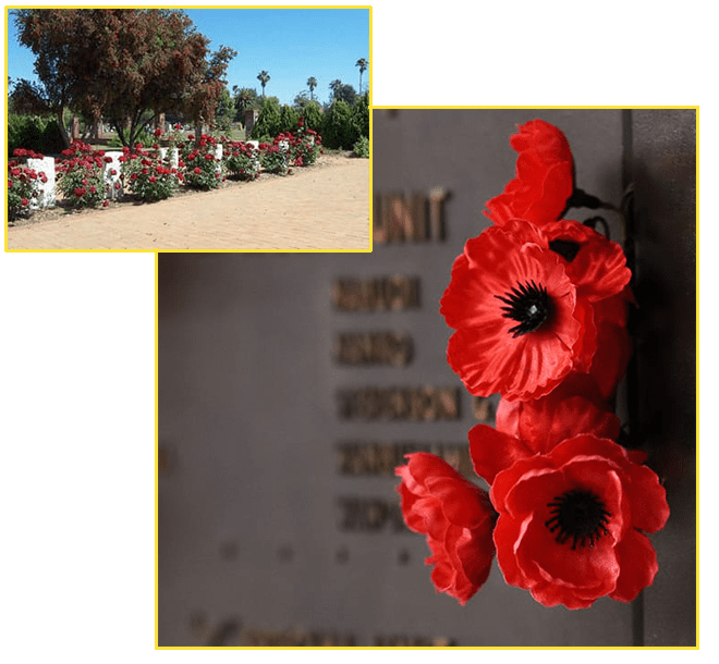 Narromine Club Garden and Flowers