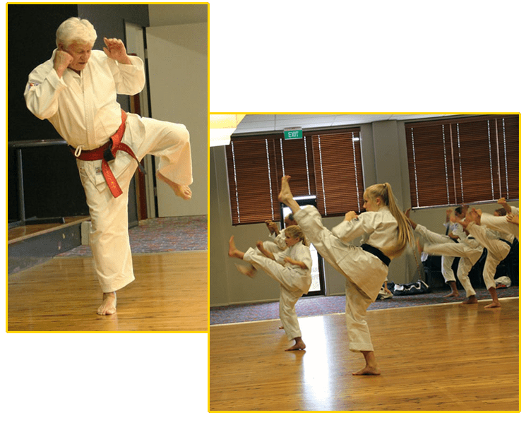 TE ASHI KAI SHIN AUSTRALASIAN KARATE